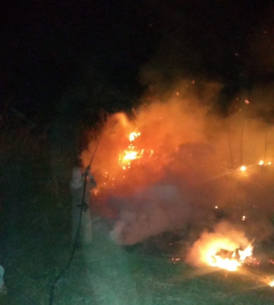 Bombeiros em ação