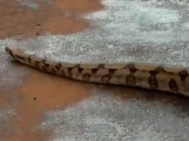 Momento foi registrado por pessoas que passavam pelo local