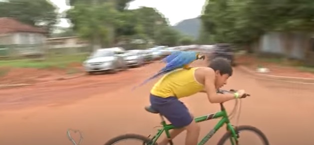 Fofa 'pegando carona'