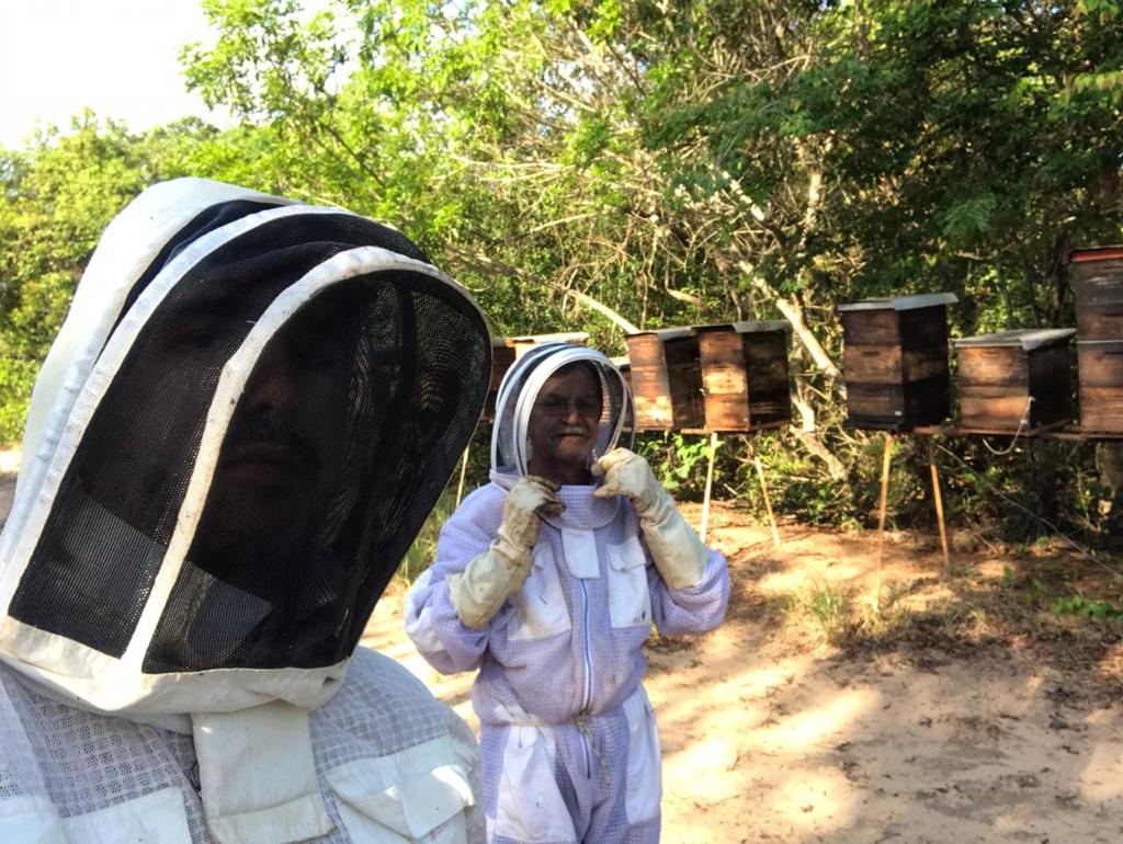 Apicultores de MS beneficiados pela ação da Sefaz, em trabalho