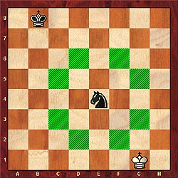 movimentação do cavalo