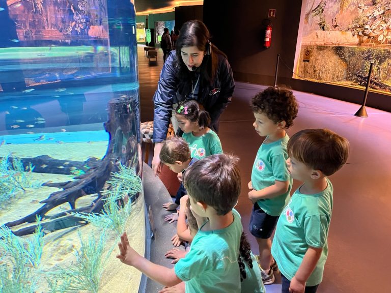 Visitação no Bioparque 
