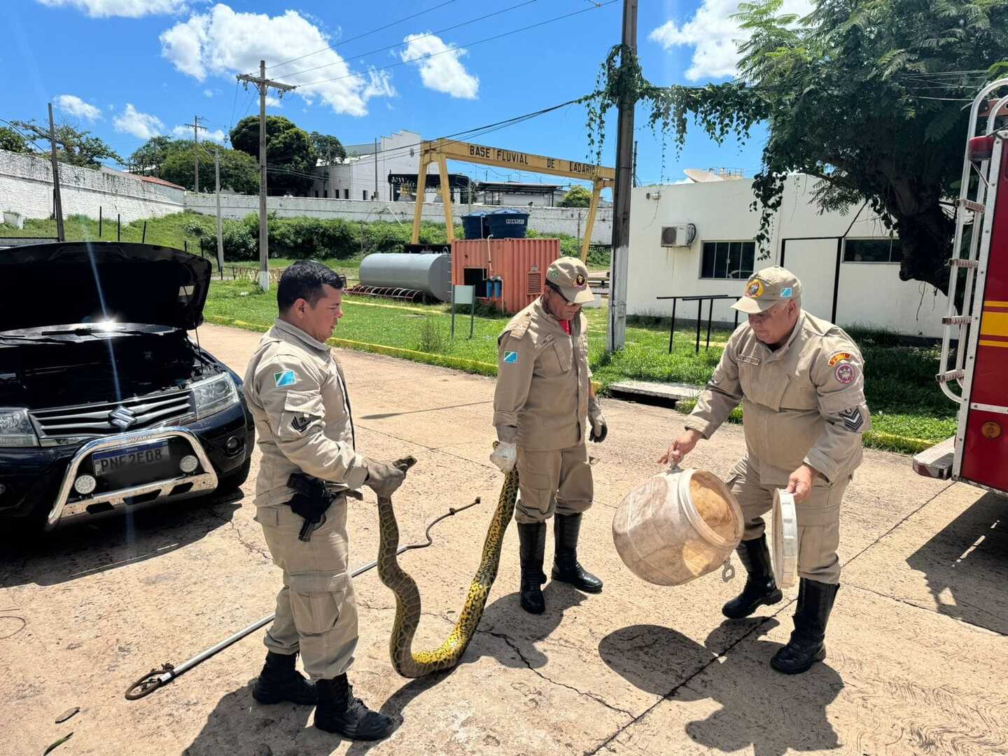 resgate sucuri bombeiros de ladario