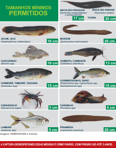 Cartilha do Pescador