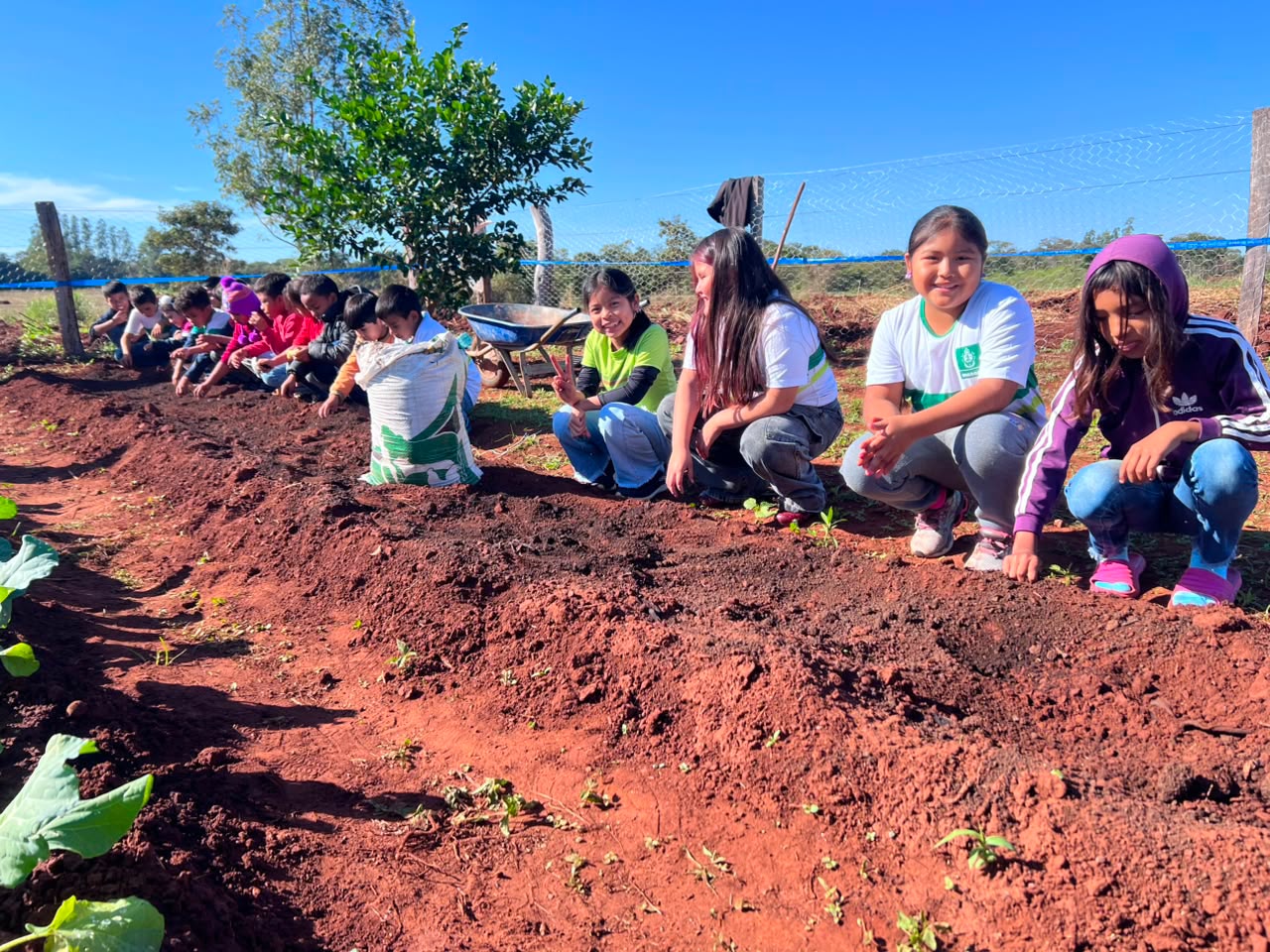Estudantes cultivam hortaliças que abastecem merenda em escola de Nioaque