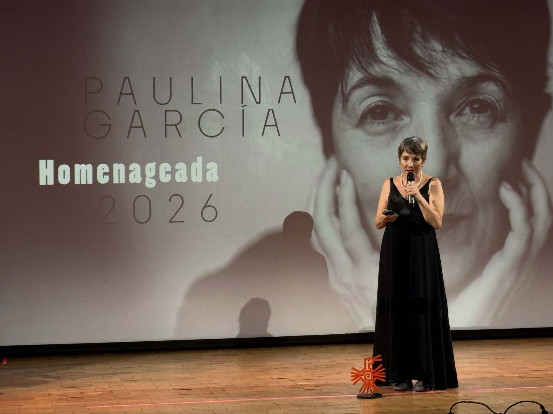 4º Bonito CineSur é aberto com Gianecchini e filme internacional3