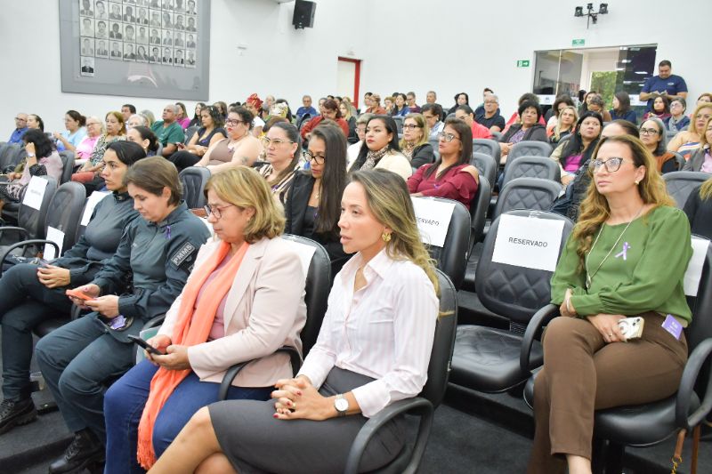 Seminário regional discute políticas de proteção às mulheres em Aquidauana4