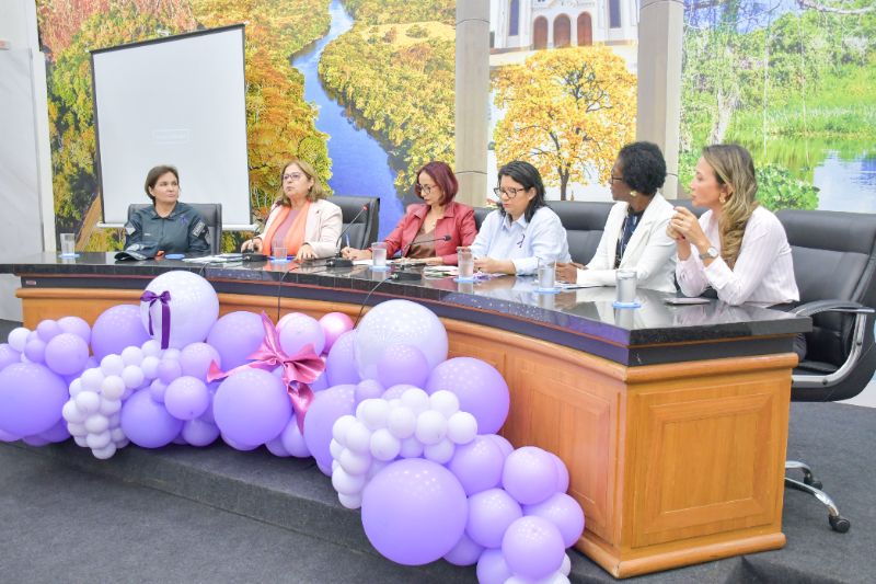Seminário regional discute políticas de proteção às mulheres em Aquidauana5