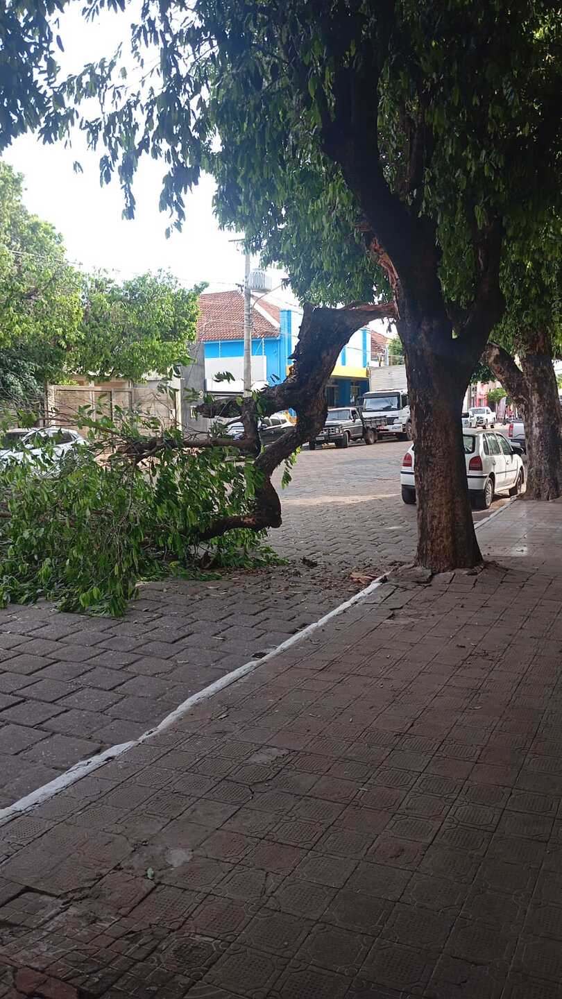 caminhão baú quebra galho na Estevão