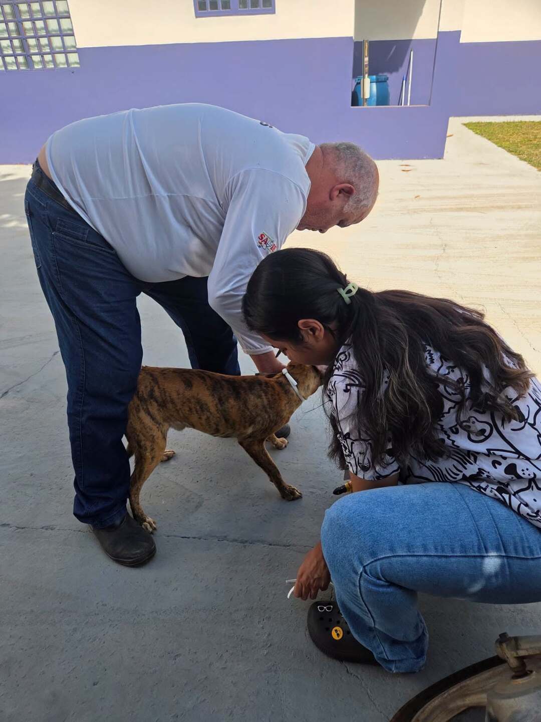 Dia D reforça vacinação contra a raiva e prevenção em Anastácio3