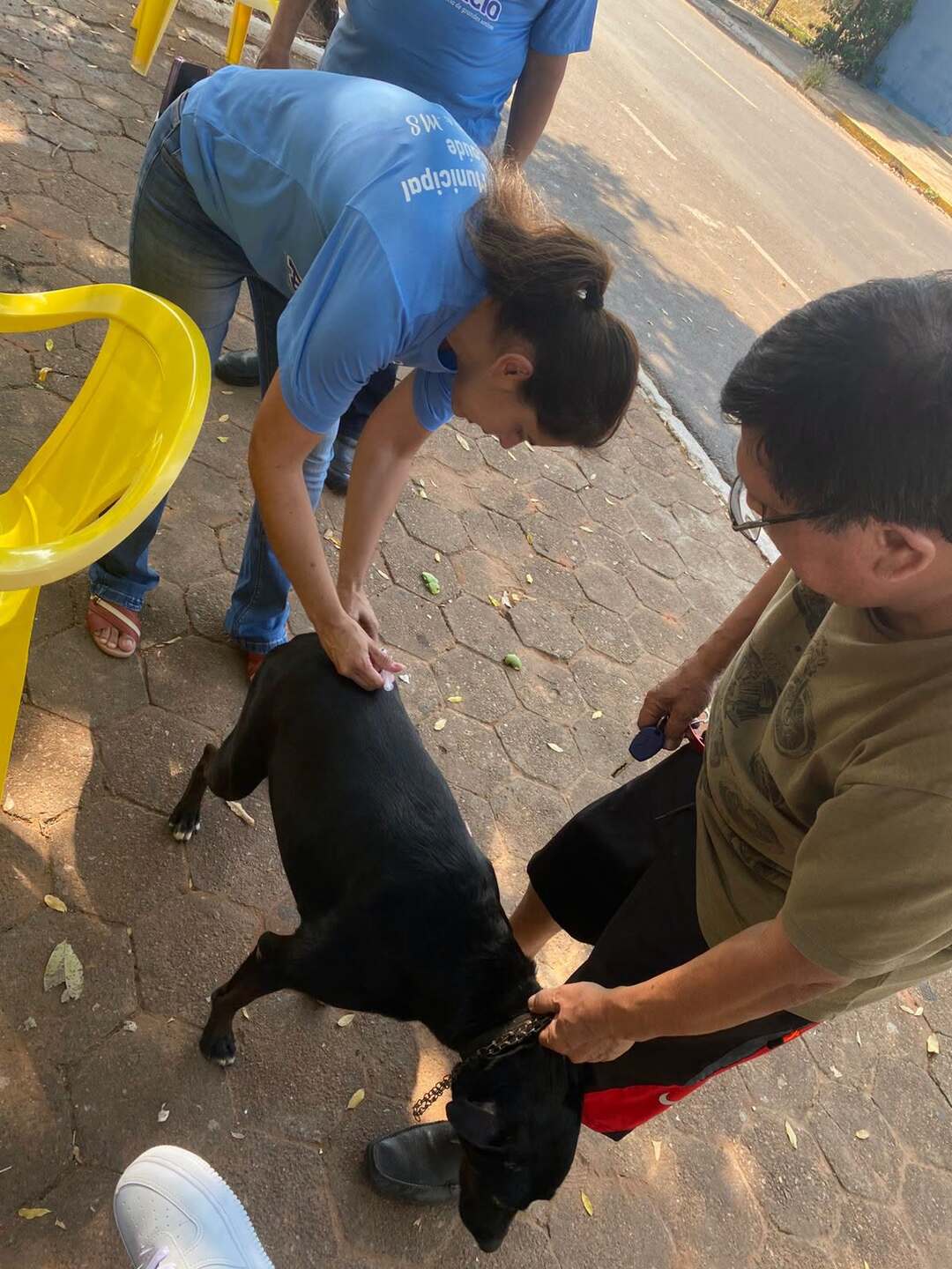 Dia D reforça vacinação contra a raiva e prevenção em Anastácio4